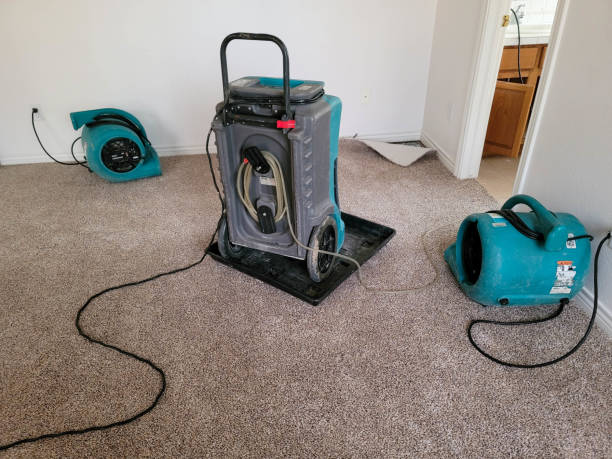 Best Flood damage cleanup  in Spooner, WI