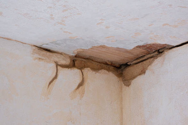 Best Water damage restoration near me  in Spooner, WI