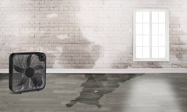 Water damage restoration experts in Spooner, WI