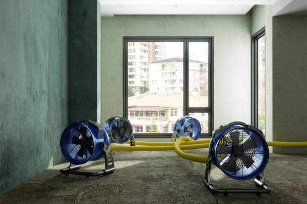 Best Professional water damage repair  in Spooner, WI